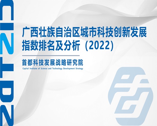 舔到高潮网址【成果发布】广西壮族自治区城市科技创新发展指数排名及分析（2022）